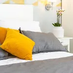 Guest house Boro